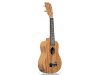 Tanglewood TWT1 Tanglewood TWT1